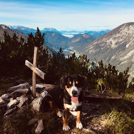Apartman Birmoser Inkl. Chiemgaukarte Ruhpolding